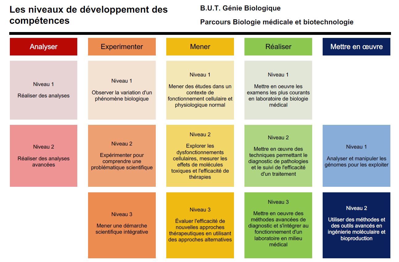 Comptences du parcours BMB du BUT GB