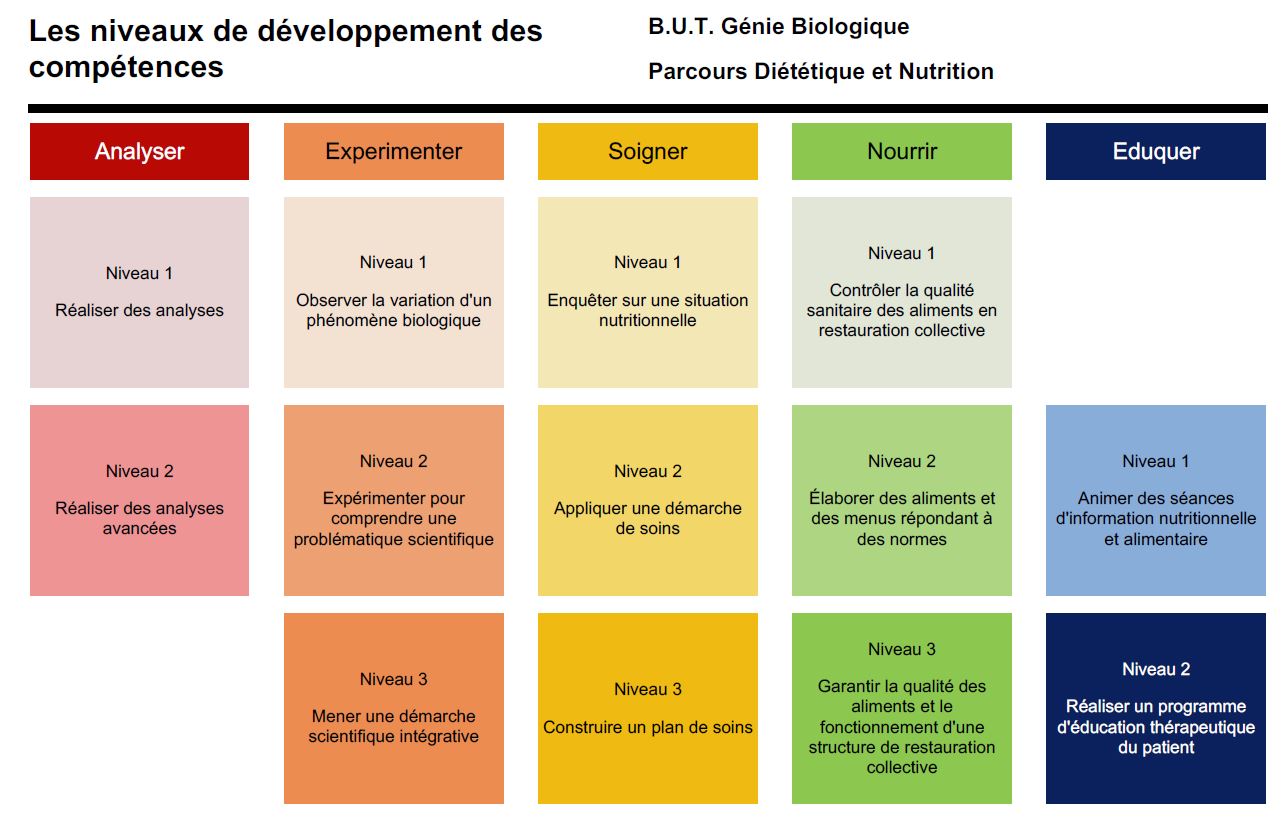 Comptences du parcours DN du BUT GB